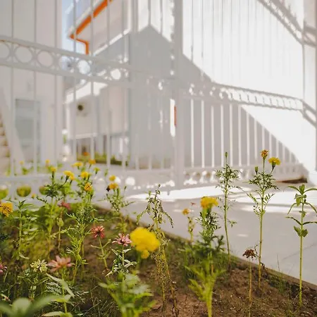 Belsun ホテル ベルディビ